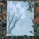 CULTURE ET PATRIMOINE – Falicon en 1955 – Édition « Sous l’olivier… exactement »