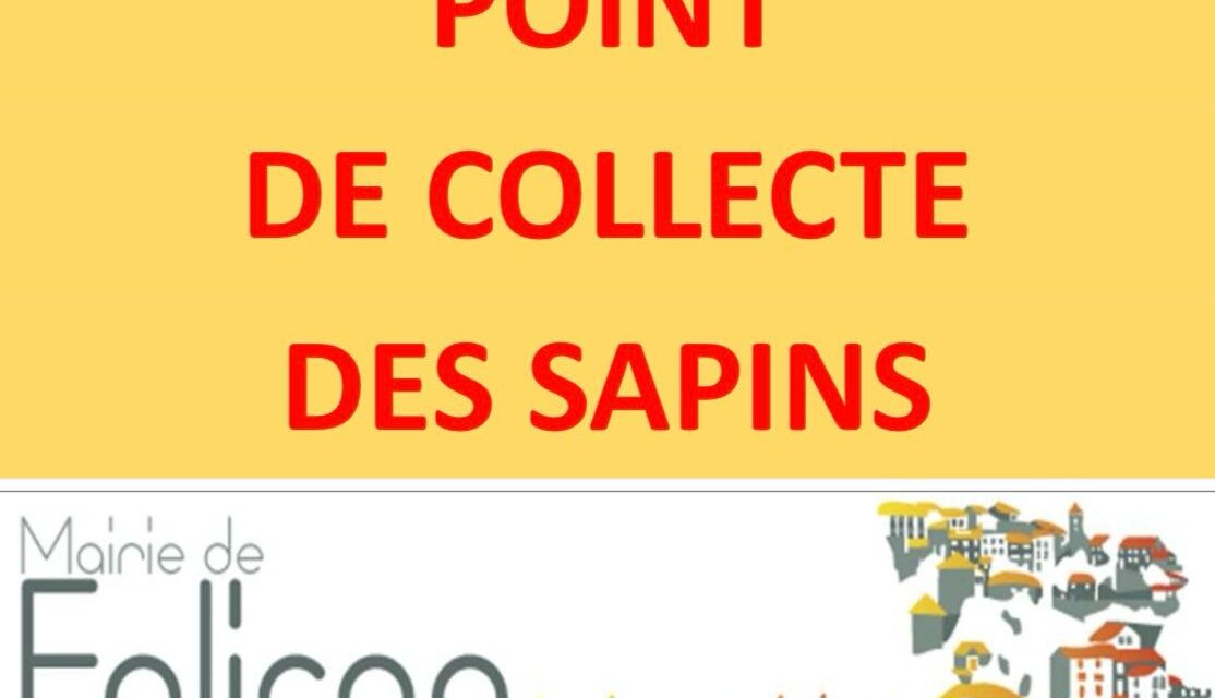 COLLECTE DE SAPINS DE NOËL