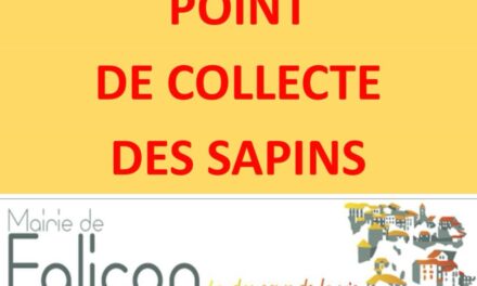 COLLECTE DE SAPINS DE NOËL